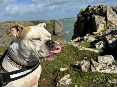 One of many Coastal Adventures