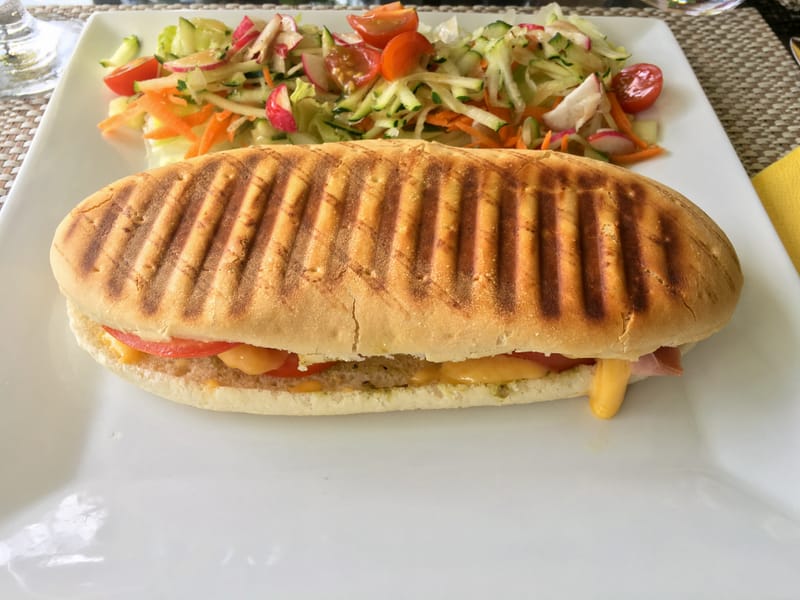 Toasted panini