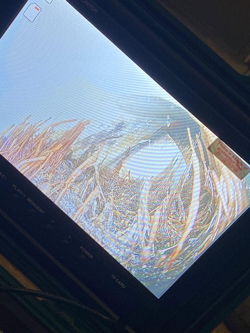 צילום קווי ביוב