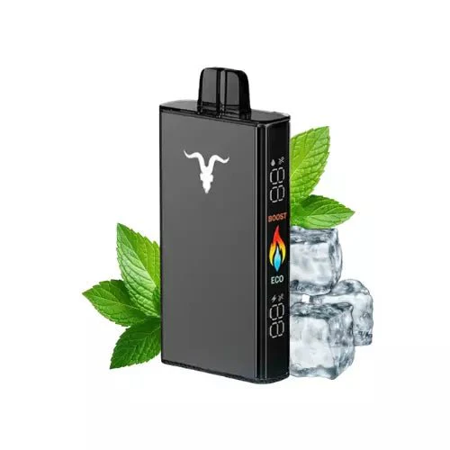 IGNITE V250 25000 PUFFS ICY MINT 5% NICOTINA