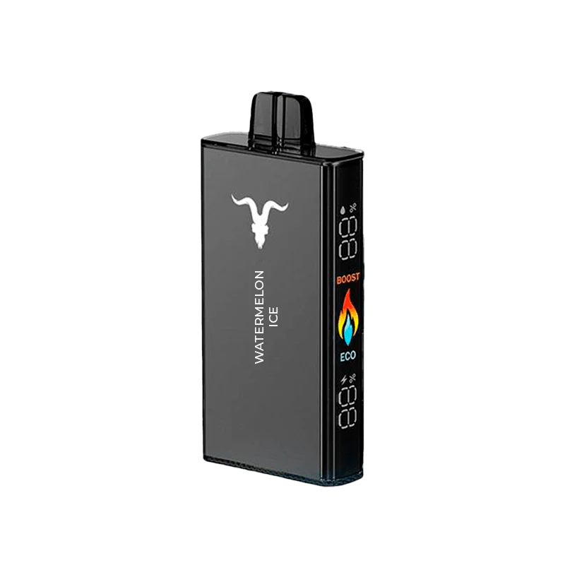 IGNITE V250 25000 PUFFS WATERMELON ICE 5% NICOTINA