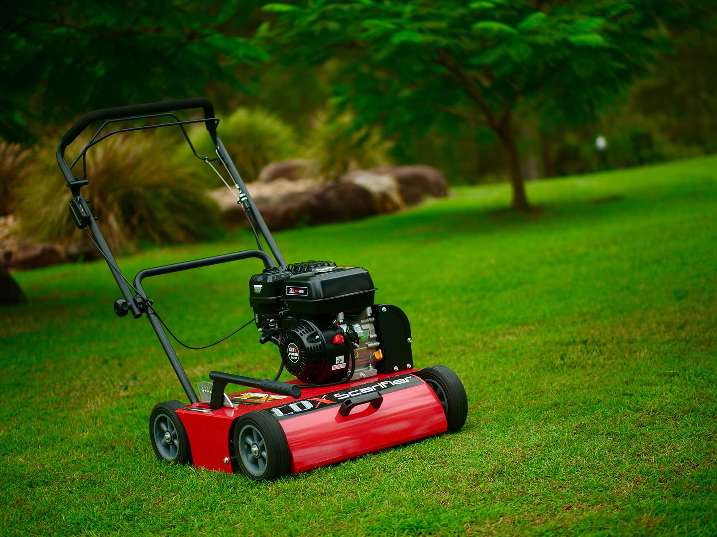 Cox professional scarifier