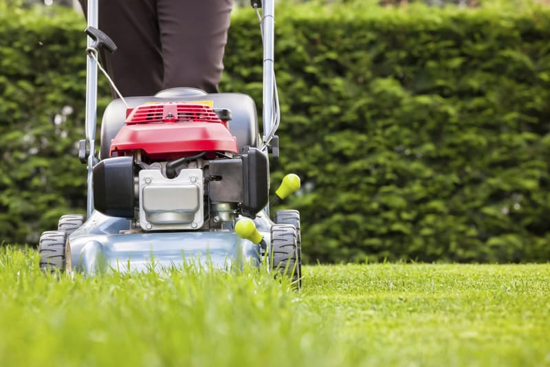 Lawn Mowing