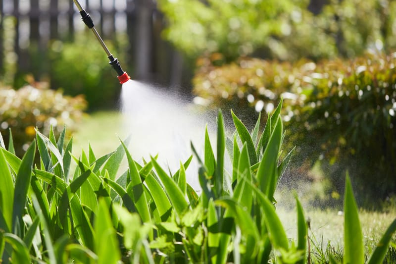 Weeding & Spraying