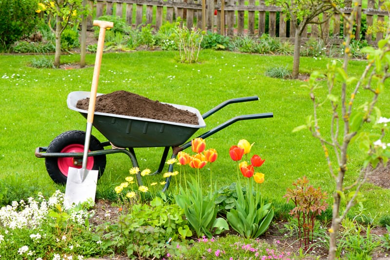 Garden Maintenance