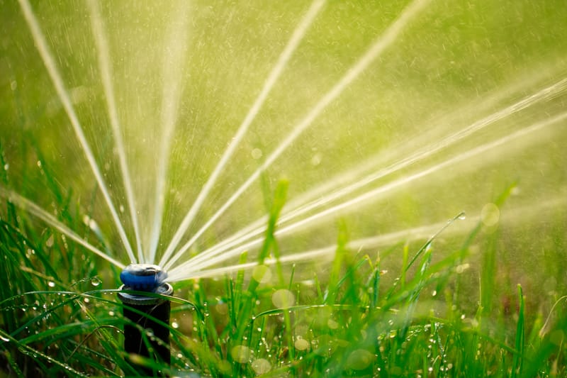 Irrigation Installation & Maintenance