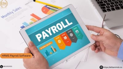 Why Elite Mindz Offers the Best HR Software for Payroll and HR Management
