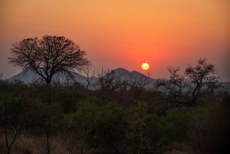 The Matola Experience