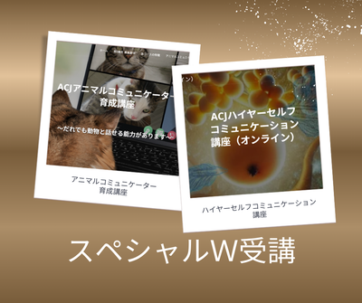 スペシャルW講座 image