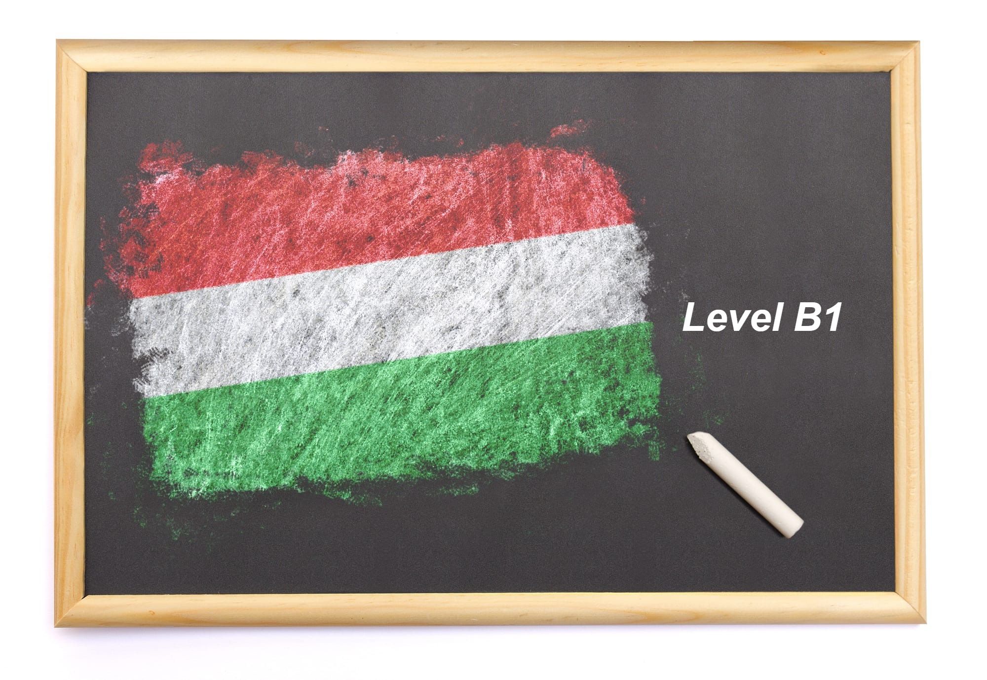 B1 Level (Intermediate)