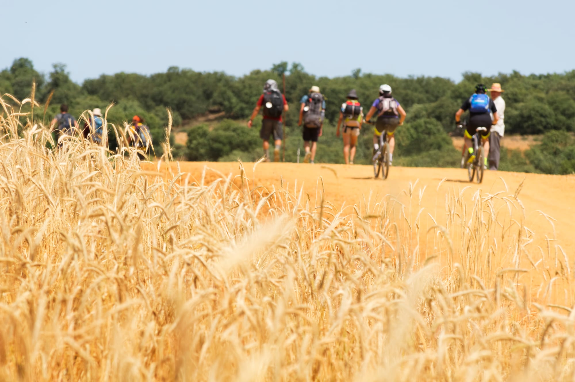 Bulletin d'inscription Challenge Ain-Rhône 2026