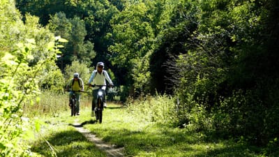 Bulletin d'inscription petit Gourdathlon 2026