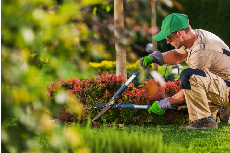 landscaping services