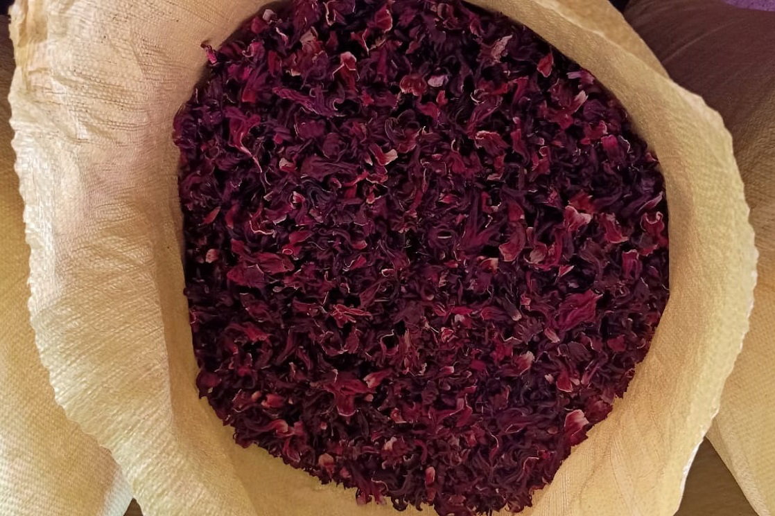 HIBISCUS
