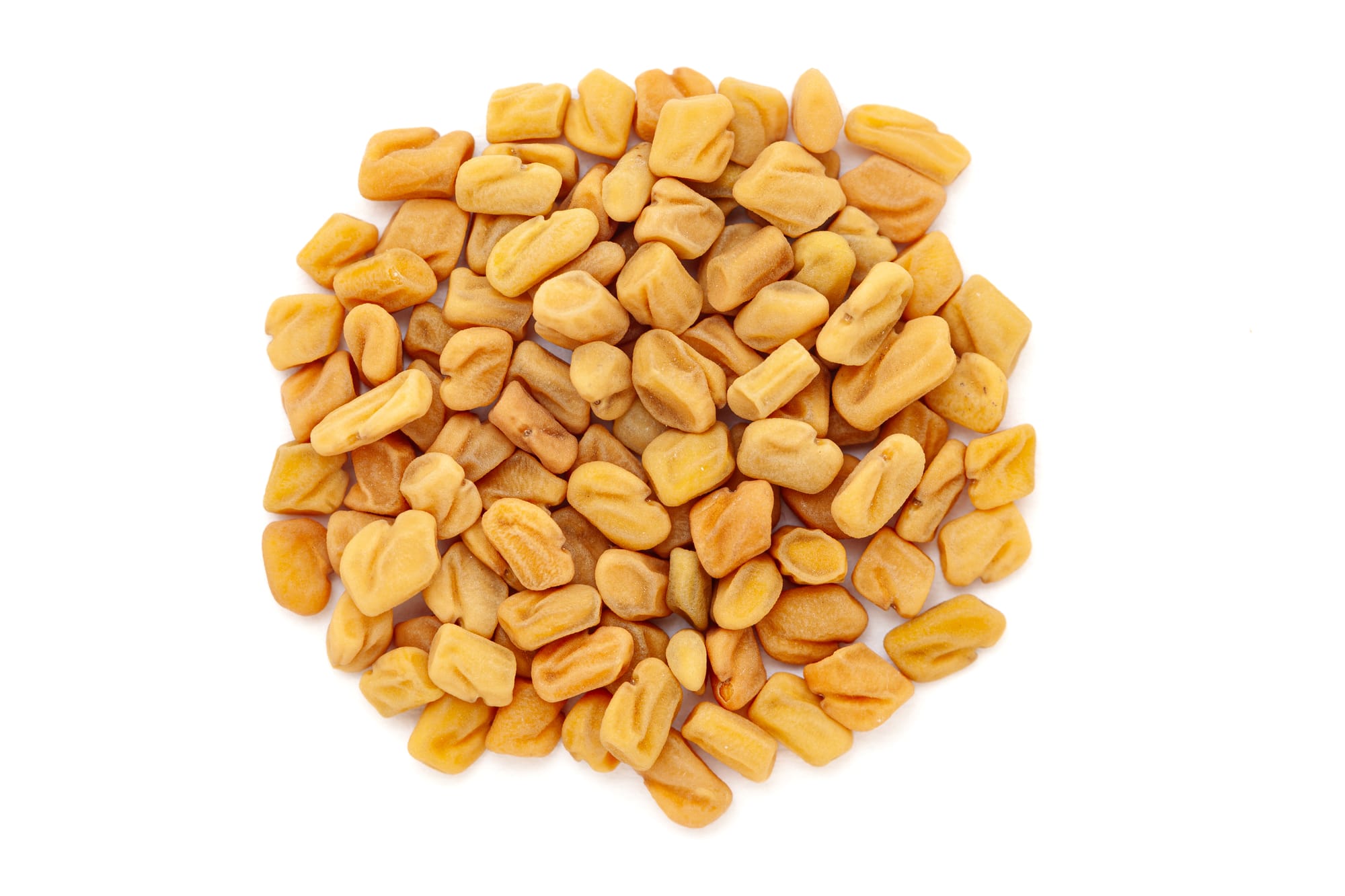 FENUGREEK SEEDS