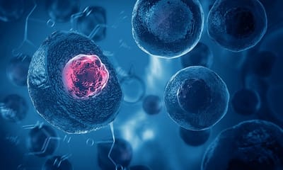 What are the different types of Regenerative Medicine?