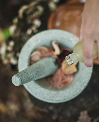 Alchemy Bali – Ubud’s Raw and Organic Haven for Holistic Wellness