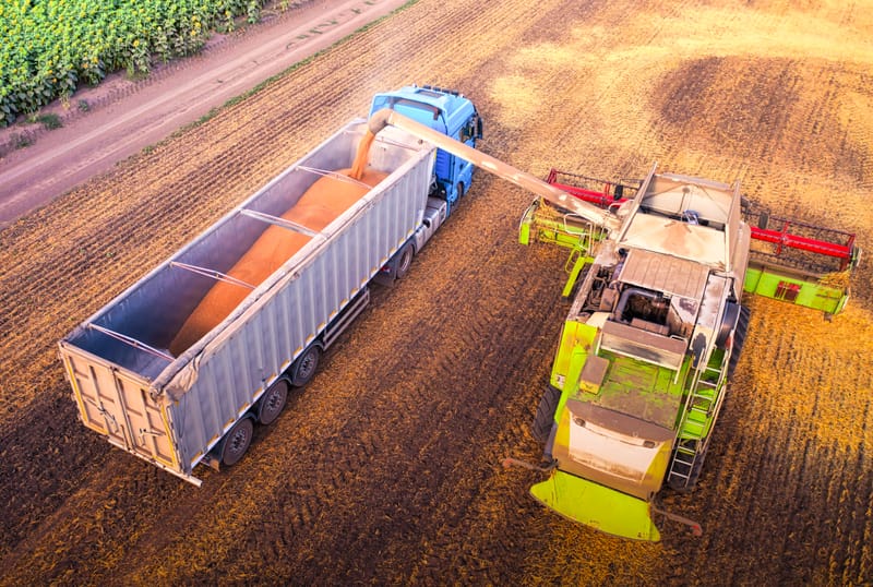 High-Quality Produce