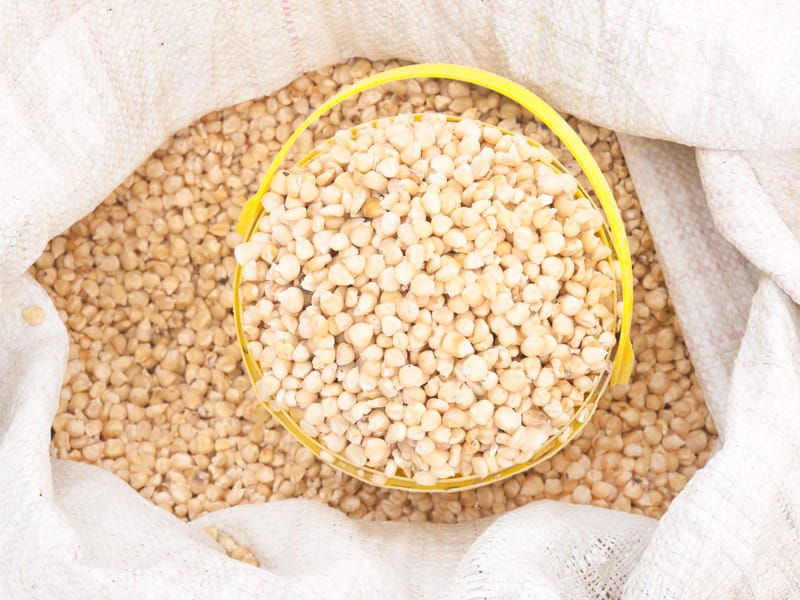 Human Food White Corn (GMO,Non GMO)