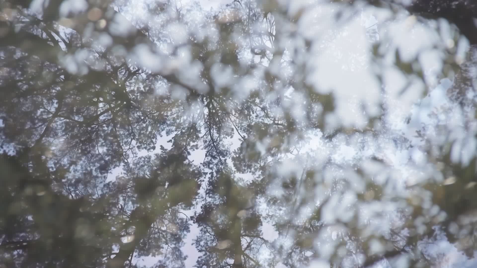 Field Recording & Sound-Based Visual Collaboration- 2023, 2024