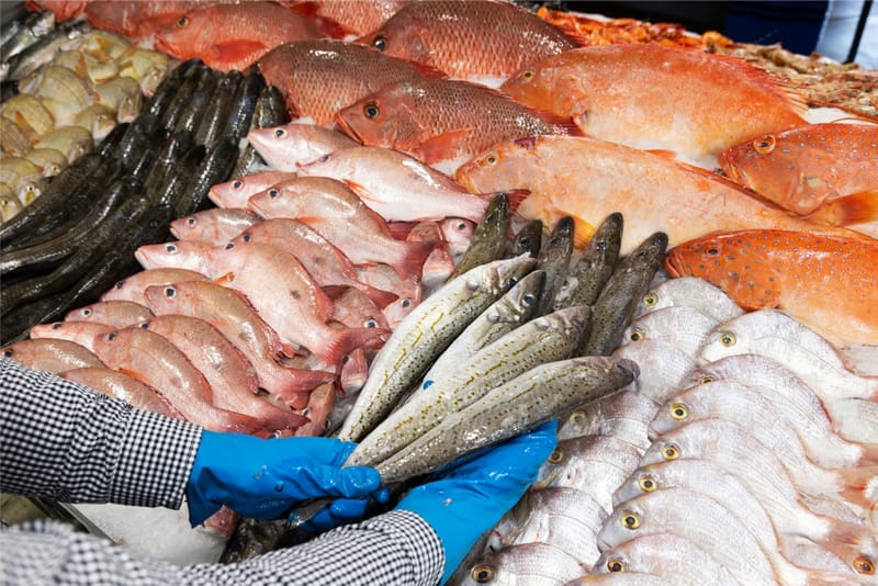 FISH MARKETING - AYA SEAFOODS