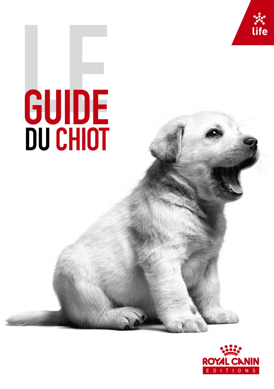 Guide du chiot
