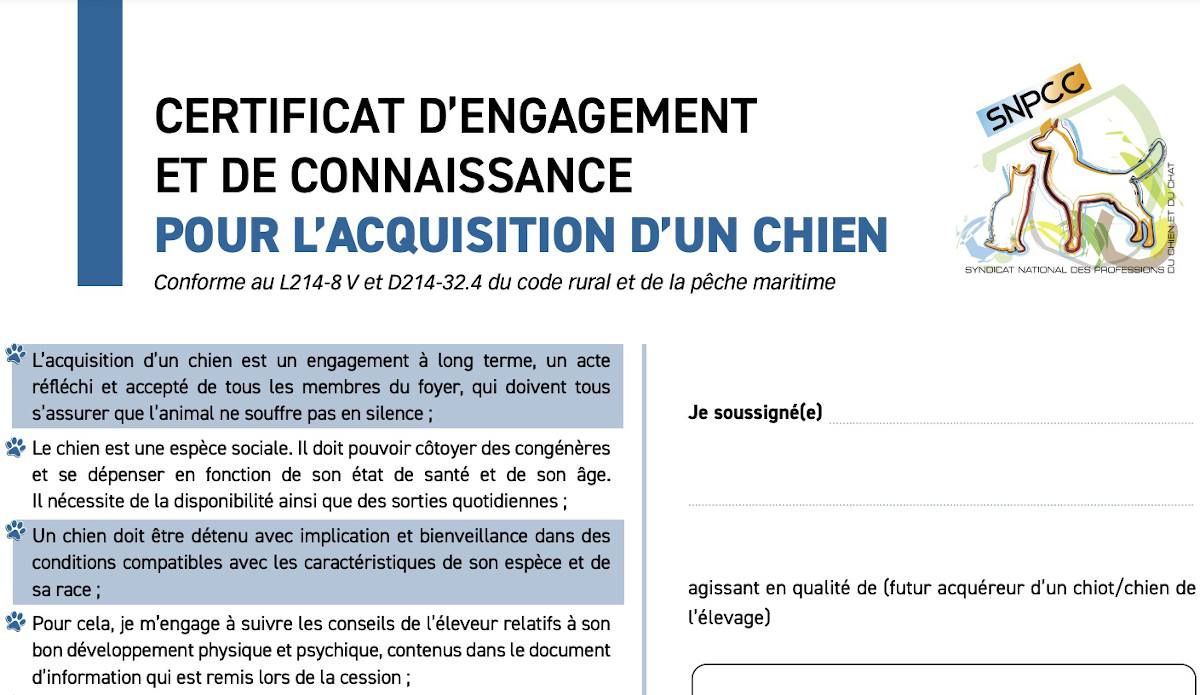 Certificat d'engagement et de connaissance