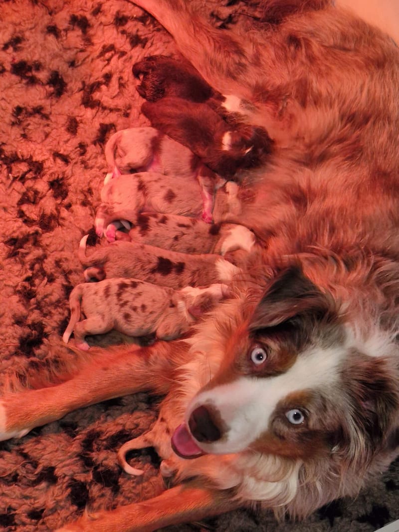 Naissance du 03/12/2025