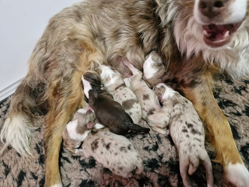 Naissance du 03/12/2025