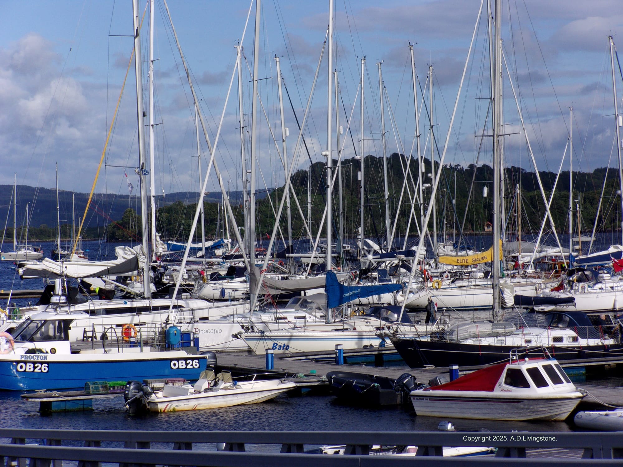 Harbour - Tobermory, Mull.                       ©A.D.Livingstone.