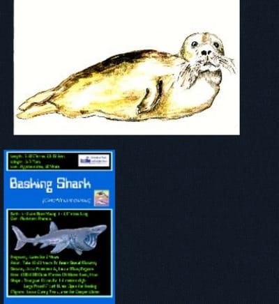 P7 Poster work. Hwdt. 28 Main St.