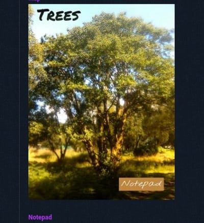 P10 Information booklet.