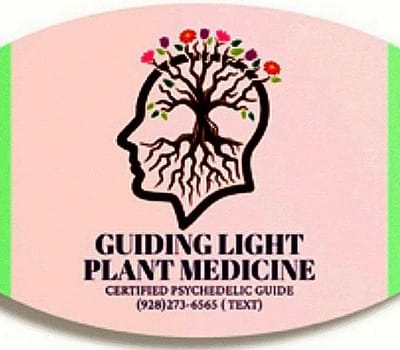 Guidinglightplantmedicineguide.com