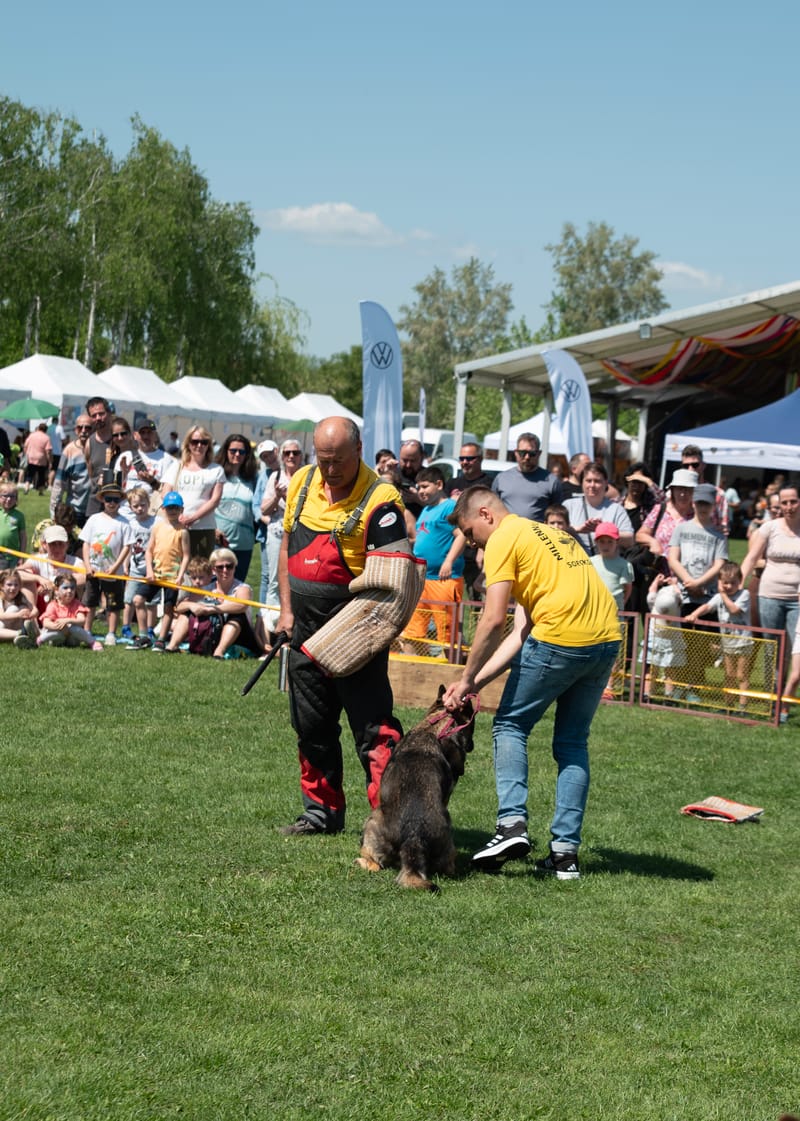 Kutyás bemutató