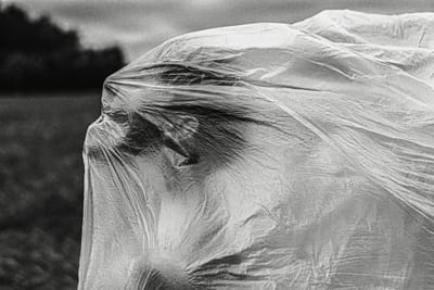 Csendből szőtt képek