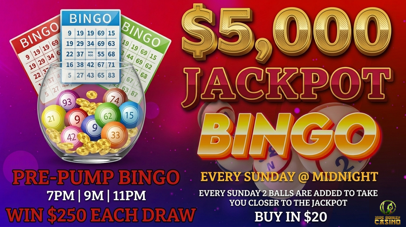 OUR BINGOS ARE SO MUCH FUN