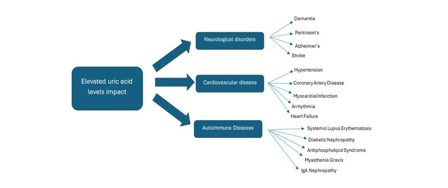 The Dual Role of Uric Acid: Pathological Implications Across Chronic Diseases and Current Approaches to Hyperuricemia Management