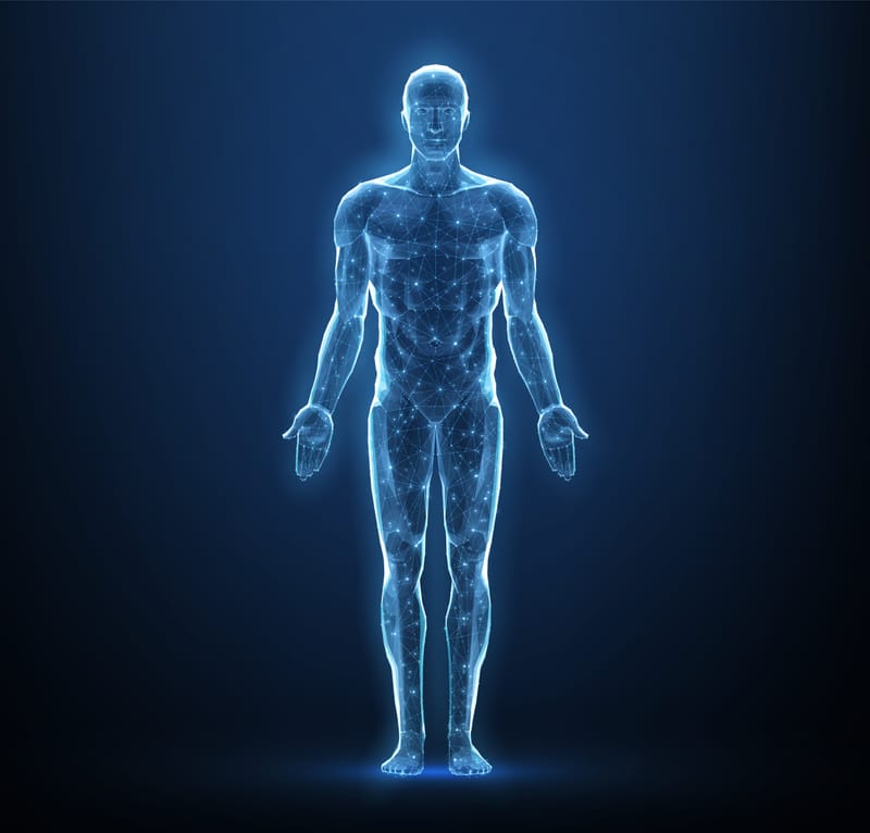 2020, Volume 8 - Issue 1