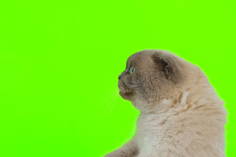 360° Monitor Rotation