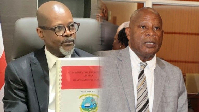 Dillon and Chea Clash Over Constitutional Bridge in Senate Budget Hearings