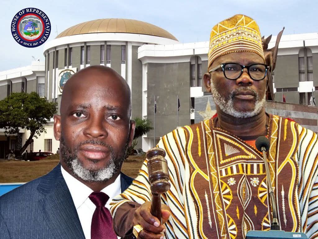 House Moves to Tighten Grip on Mining, Energy and Land Governance