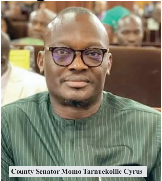 Sen. Cyrus Condemns Outsourcing of Vehicle Registration