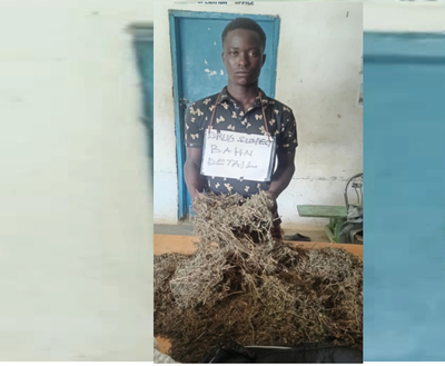 LDEA Nimba County Detachment Arrests 22-Year-Old with 3KG of Marijuana Valued at US$300