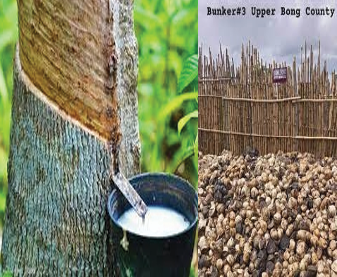 Pres. Boakai Issues Executive Order #151 to Restrict Export of Unprocessed Rubber