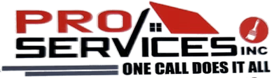 ProServices Inc