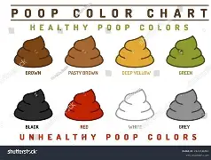 The Gut-Brain Connection: Why Your Kid’s Microbiome is More Than Just a Gas Factory​.