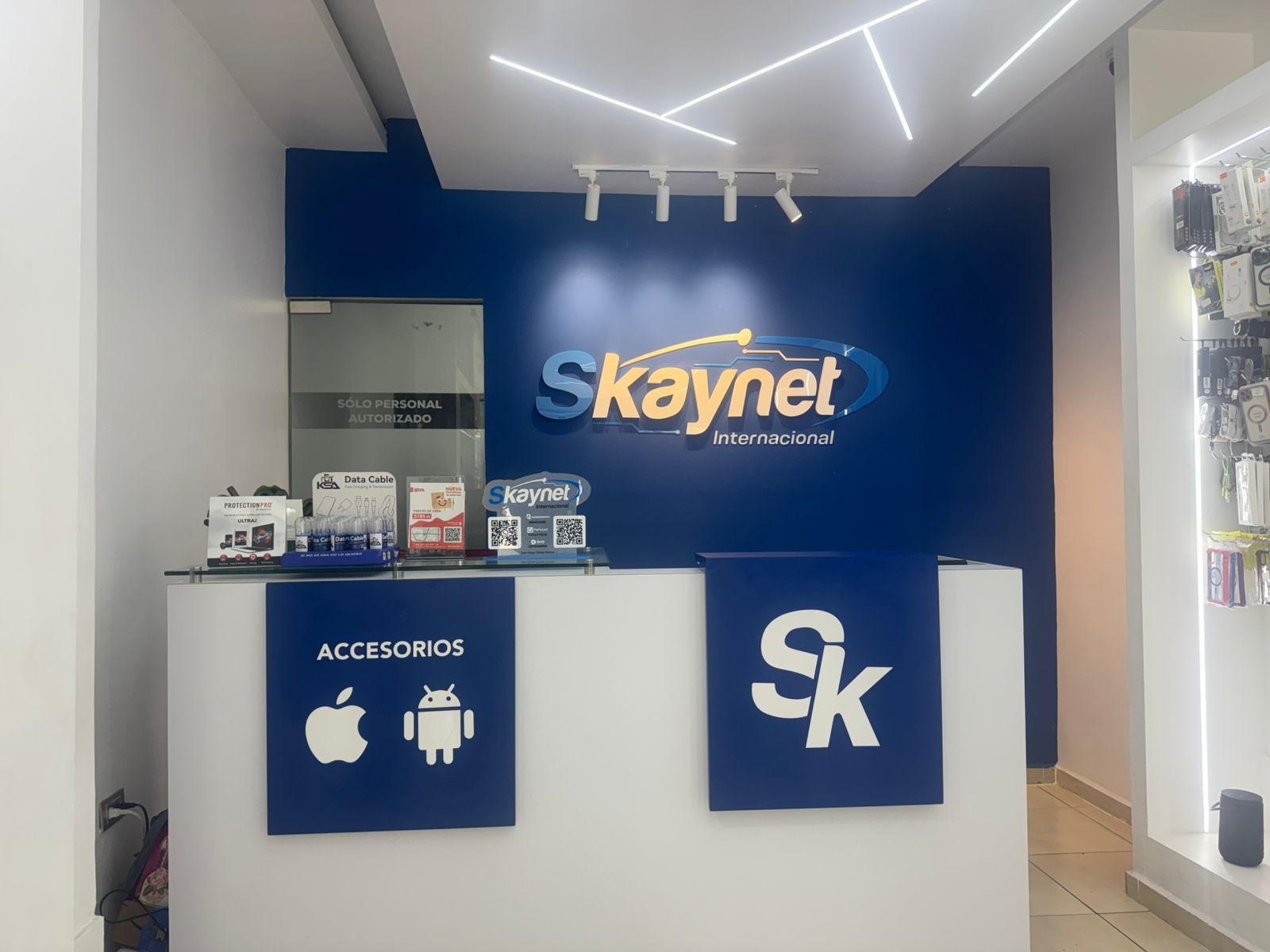 SKAYNET INTERNACIONAL