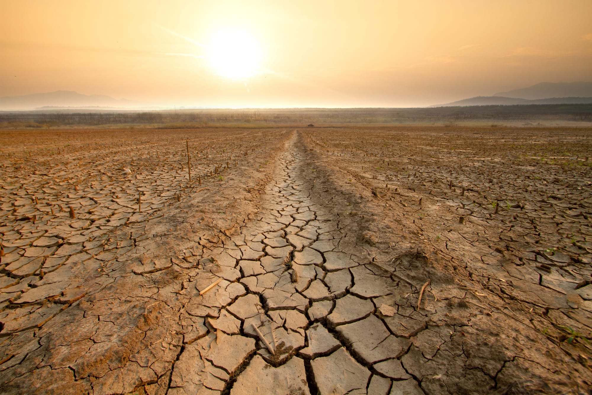 Social Analytics for Climate Resilience