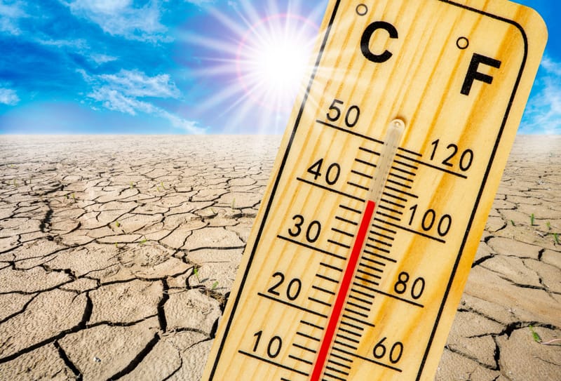 Climate & Environment