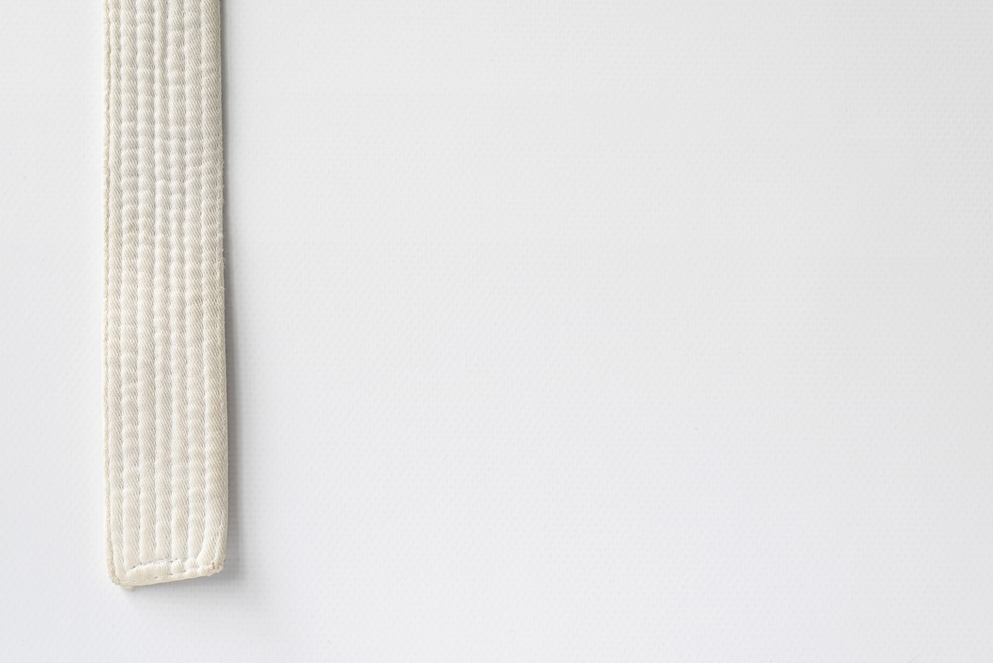 O Código do Iniciante: 7 Pilares para o Sucesso na Metodologia E.A.O.J